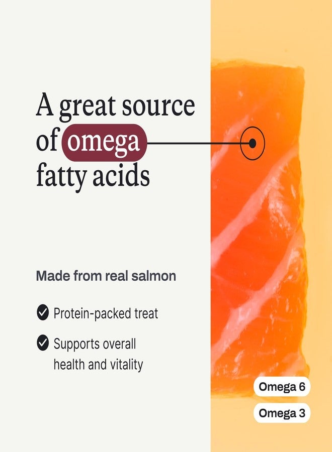 PetLab Co. Salmon Bites for Dogs – Rich in Beneficial Fatty Acids, Vitamins & Minerals - Premium Salmon Dog Treats Your Pup Will Drool Over - Carefully Selected Ingredients – Delicious Reward - Image 4